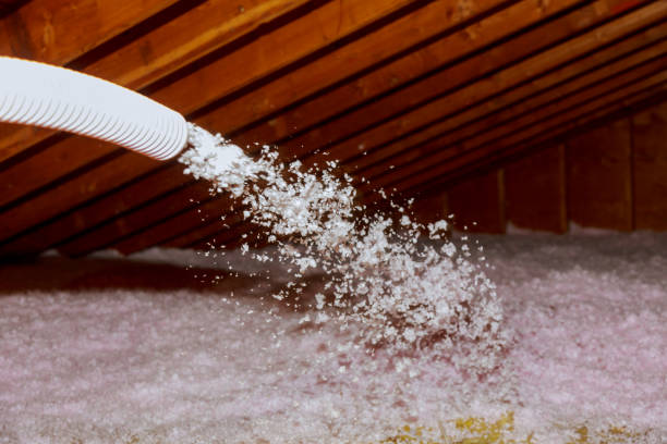 Best Energy Efficiency Insulation in Mount Olive, MS