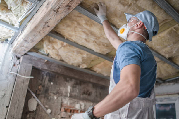 Best Insulation Maintenance and Repair in Mount Olive, MS