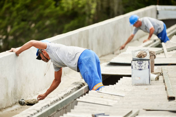 Best Cellulose Insulation in Mount Olive, MS