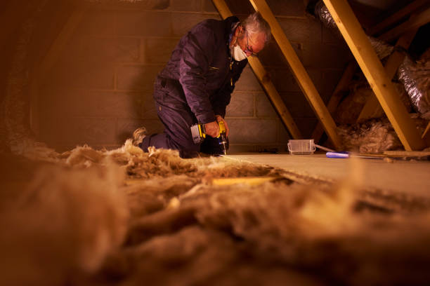 Best Specialized Insulation Services in Mount Olive, MS